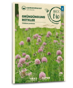 Bio-Saatgut Gründüngung Rotklee