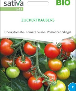 Bio-Saatgut Tomate Zuckertraube RS